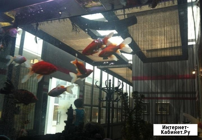 М.Кожуховская. Предлагаем помещение столовой 136, 8 м.кв. в Бизнес Парке Москва - изображение 1