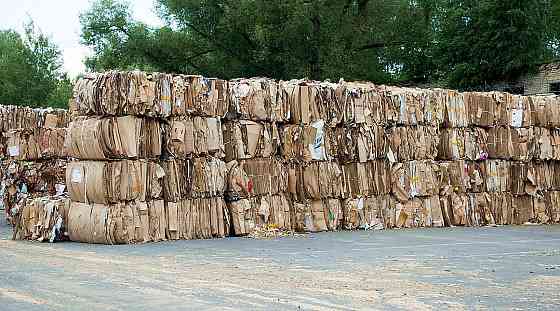 Предприятие переработчик купит макулатуру в больших объёмах Павловский Посад