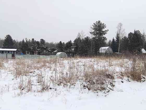Участок СНТ, ДНП 12 сот. на продажу в Рошале Рошаль