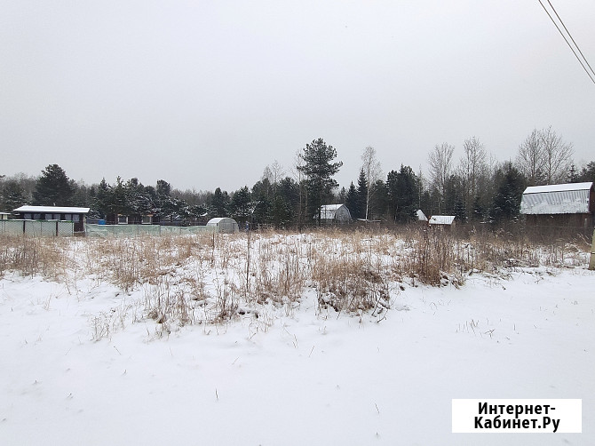 Участок СНТ, ДНП 12 сот. на продажу в Рошале Рошаль - изображение 4