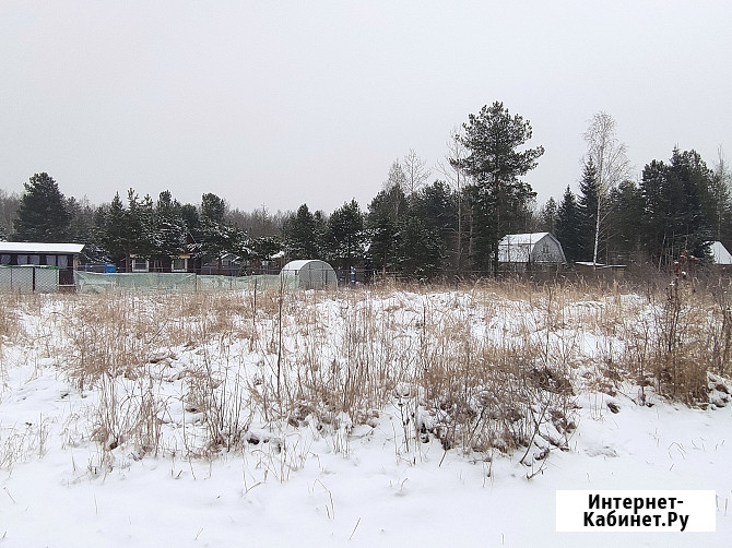 Участок СНТ, ДНП 12 сот. на продажу в Рошале Рошаль - изображение 3