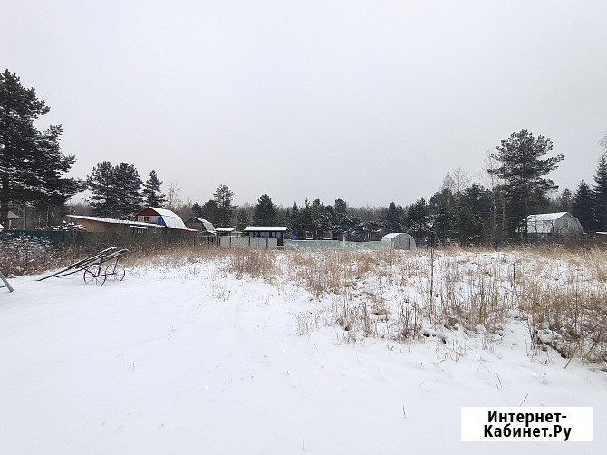 Участок СНТ, ДНП 12 сот. на продажу в Рошале Рошаль - изображение 2