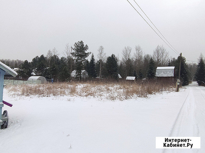 Участок СНТ, ДНП 12 сот. на продажу в Рошале Рошаль - изображение 5