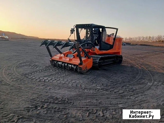 Расчистка территорий от деревьев и пней от 1 Га Ярославль - изображение 2