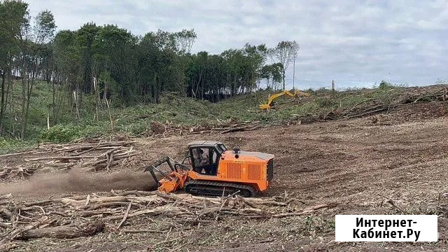 Расчистка территорий от деревьев и пней от 1 Га Балашиха - изображение 4