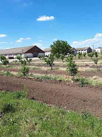 Участок СНТ, ДНП 15 сот. в аренду в Астрахани Астрахань