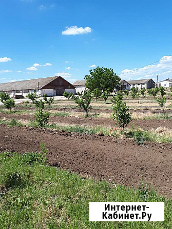 Участок СНТ, ДНП 15 сот. в аренду в Астрахани Астрахань - изображение 1