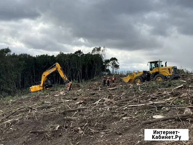 Расчистка территорий от деревьев и пней от 1 Га Воронеж - изображение 4