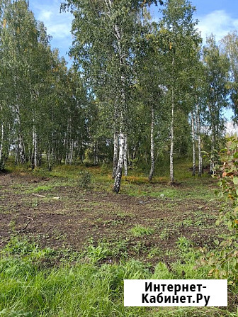 Производственная База 1, 1 Га Красноярск - изображение 4