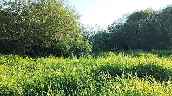 Участок ИЖС 5.96 сот. на продажу в Гатчине Гатчина