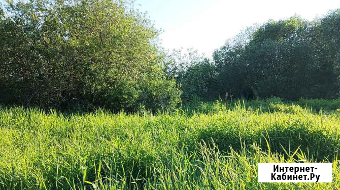 Участок ИЖС 5.96 сот. на продажу в Гатчине Гатчина - изображение 1