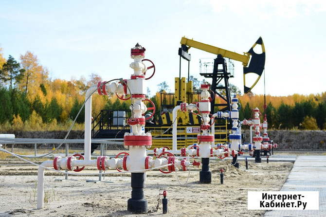 Нефть подготовленная, товарная поставки Ангарск - изображение 4