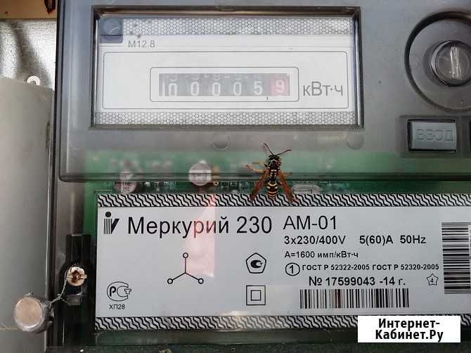 Участок ИЖС 6 сот. на продажу в Москве Москва - изображение 3