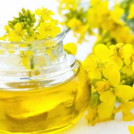 Масло рапсовое, рафинированное дезодорированное от производителя Москва