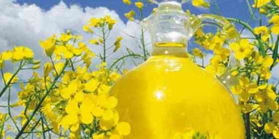 Масло рапсовое, рафинированное дезодорированное от производителя Москва